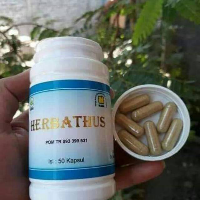 Herbathus