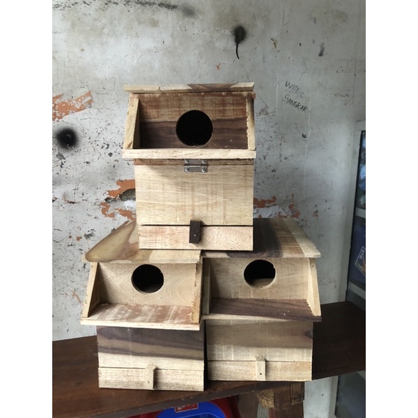 Glodok Lovebird