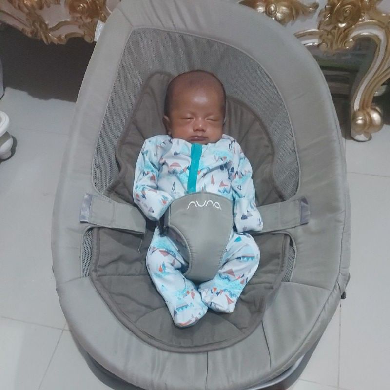 nuna leaf bouncer prelove