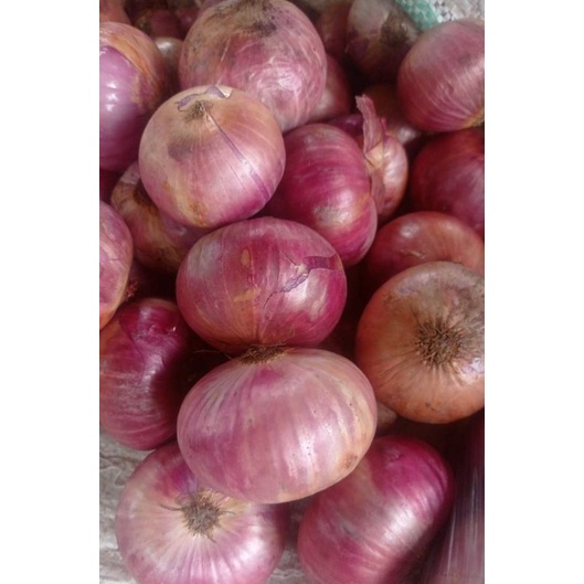 brambang import India