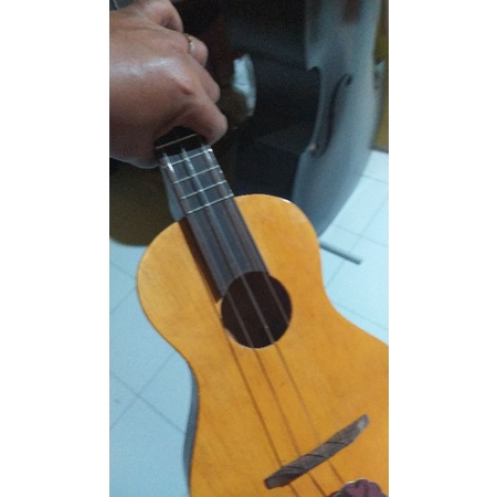 ukulele bobok top laminate murah