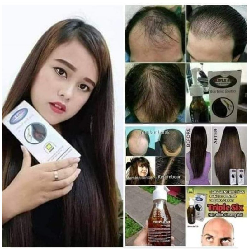 triple six akar ginseng alami