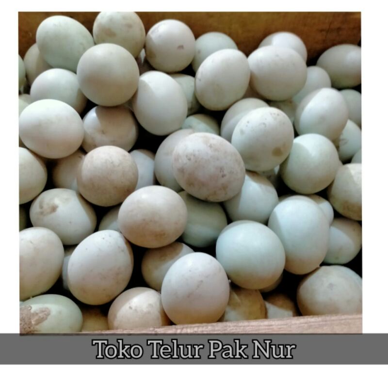 Telur Bebek Oren