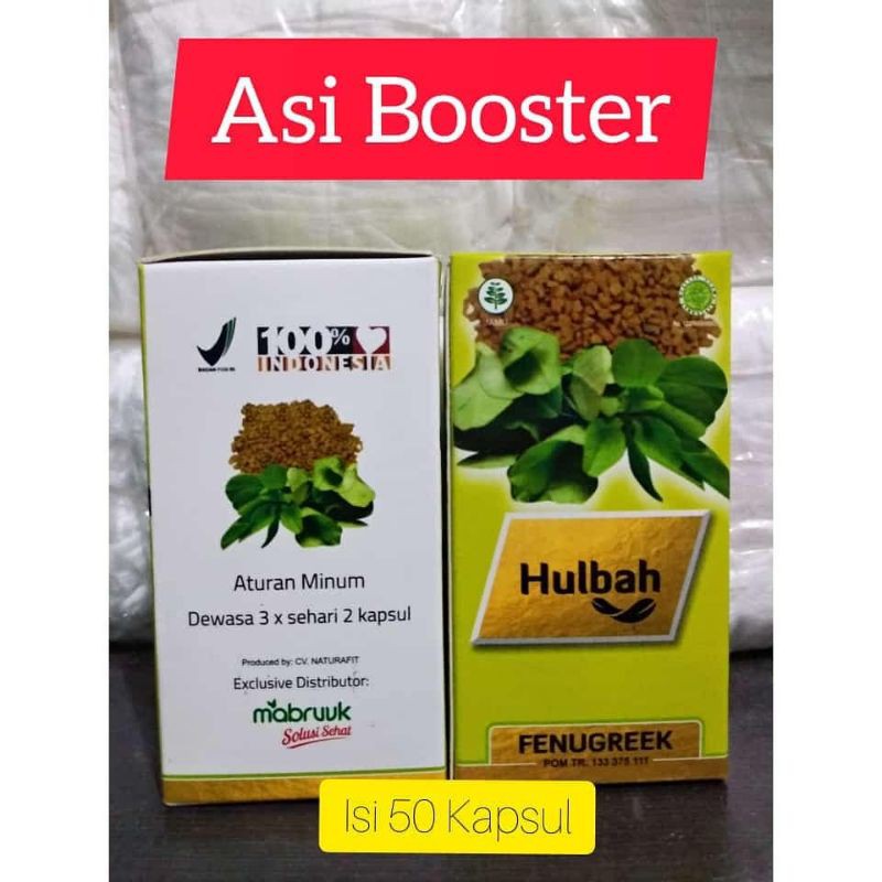 ASI BOOSTER HULBAH
