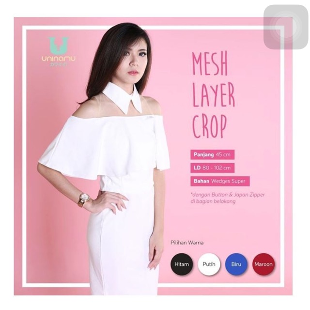MESH LAYER CROP