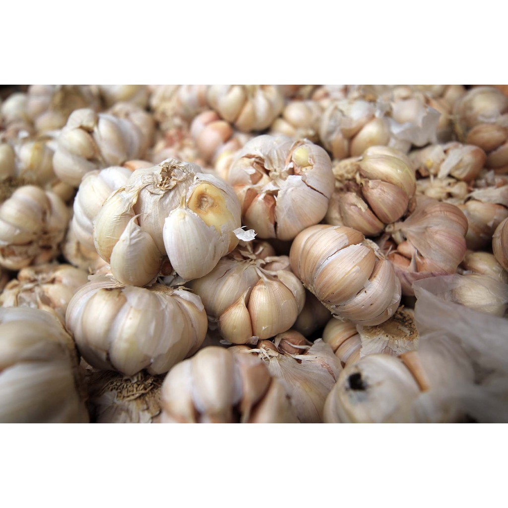 Bawang Putih 1kg