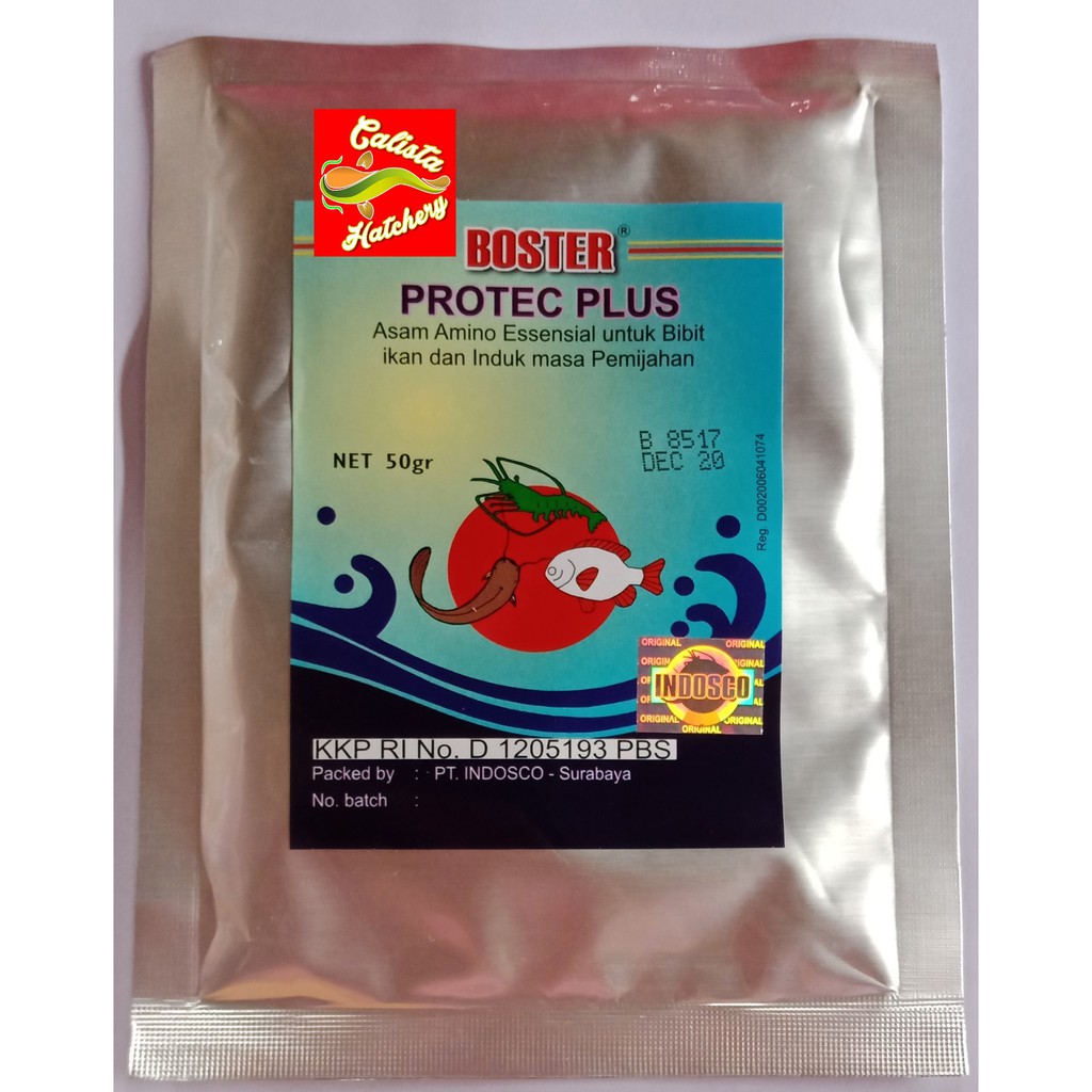 BOSTER PROTEC PLUS  Asam Amino Essensia