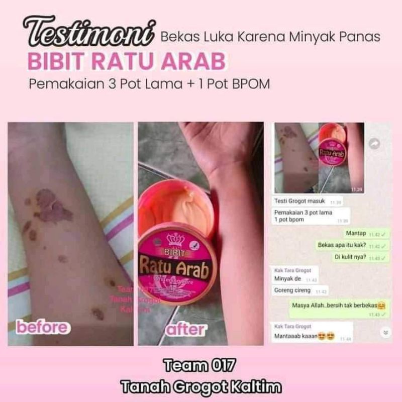 Bibit Ratu Arab ORI