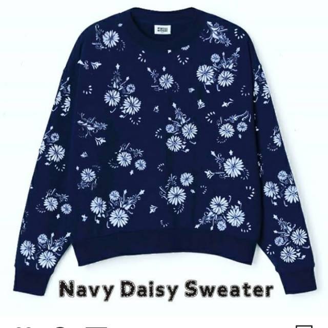 Navy daisy