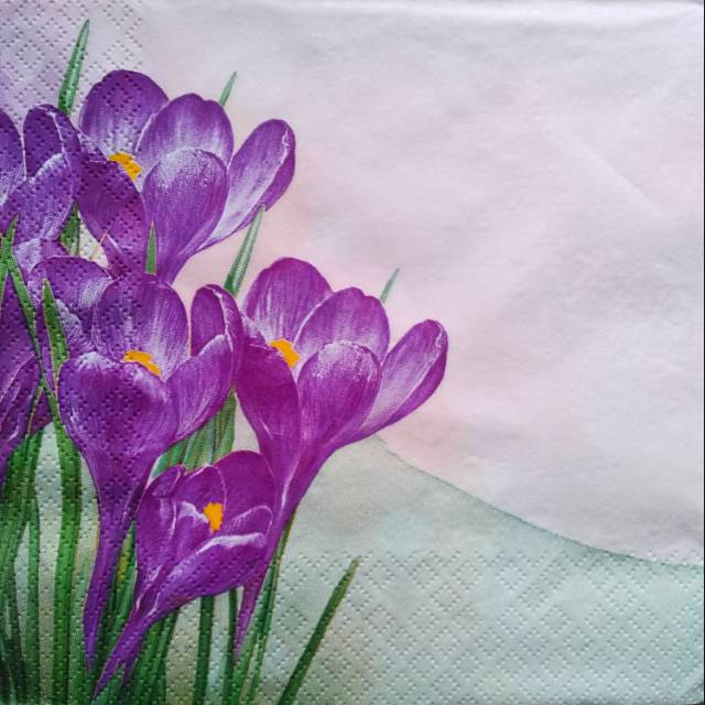 Napkin Decoupage 2150