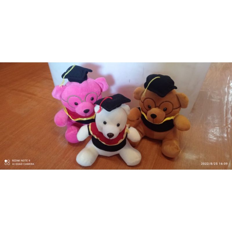 BONEKA WISUDA / BEAR TOGA