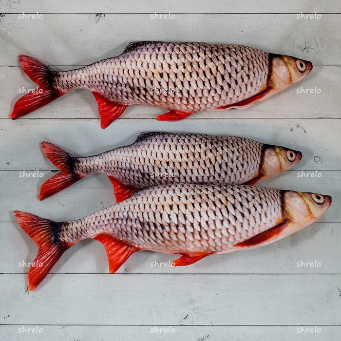 boneka ikan