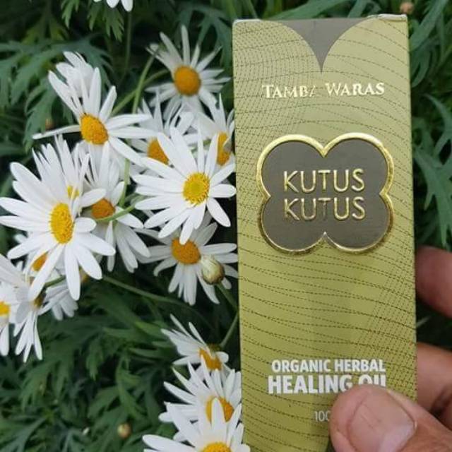 Minyak kutus kutus