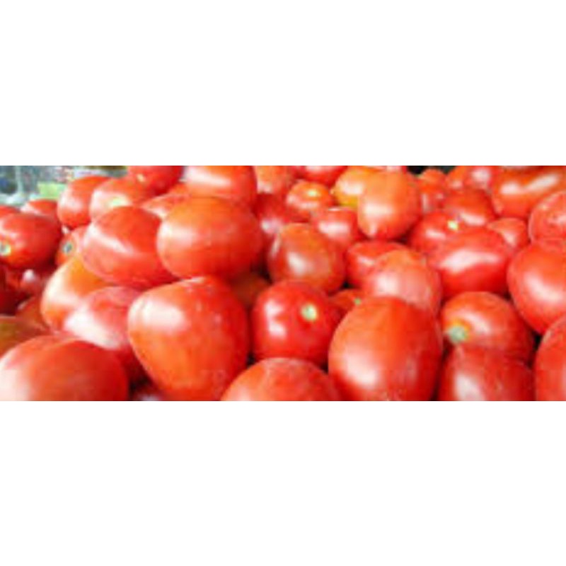 tomat 1 kg