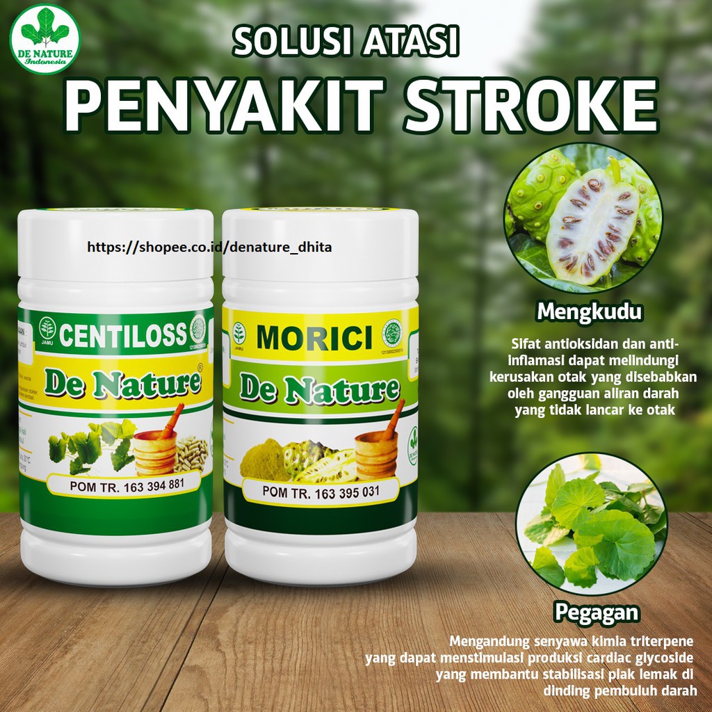 OBAT STROKE DE NATURE