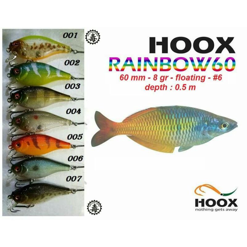 HOOX - RAINBOW 60