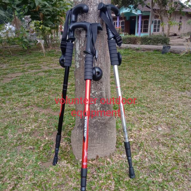 Trekking pole handle T