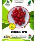Benih tomat chery