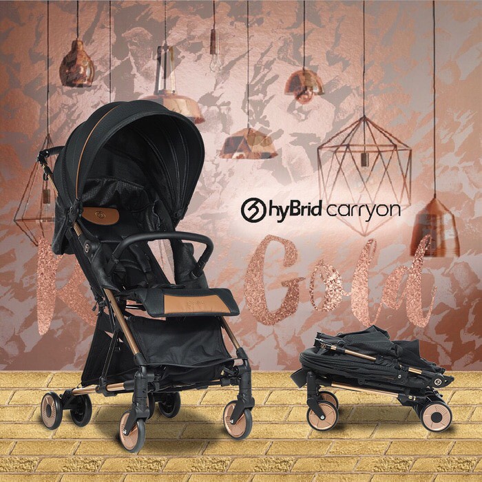 Hybrid Carry On Stroller