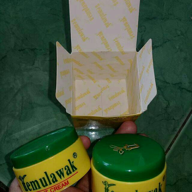 Temulawak import
