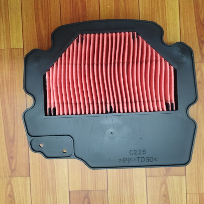 DMS FILTER UDARA XEON RC