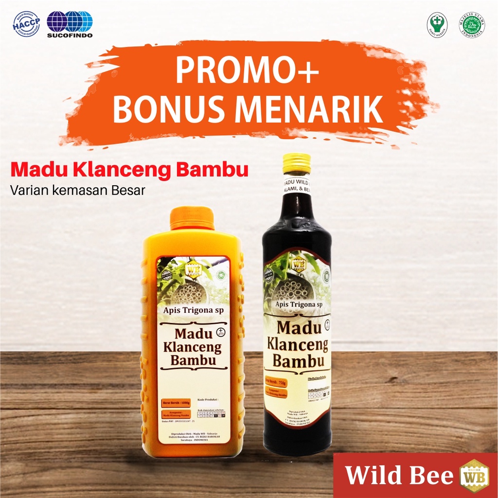 Madu Klanceng Bambu Ukuran Besar