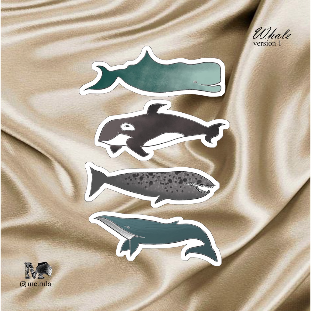 Sticker Aesthetic Whale Version 1