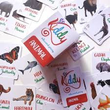 Kiddy Flash Card