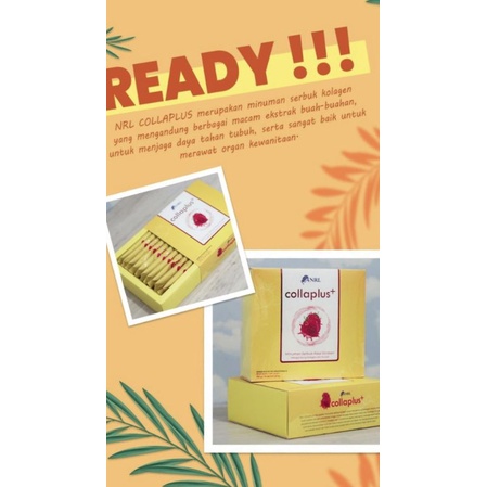 collaplus nrl