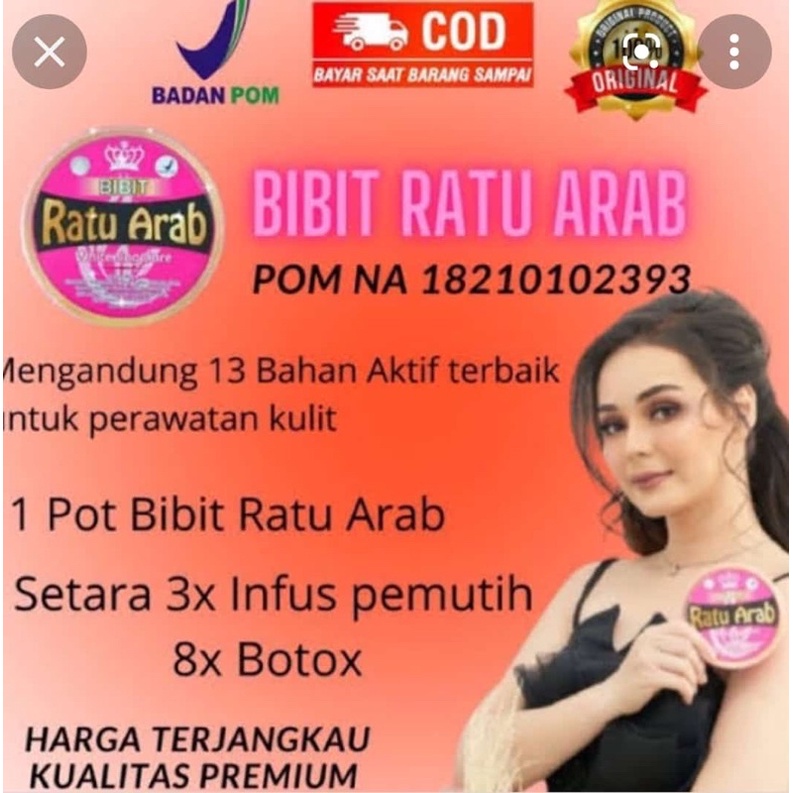 Bibit RAtu Arab original