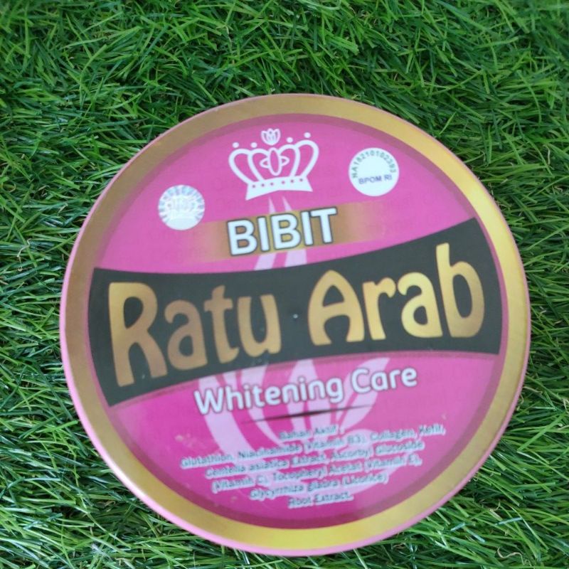 bibit ratu arab