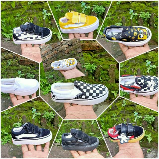 Vans anak