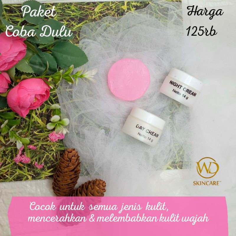 wd skincare temulawak