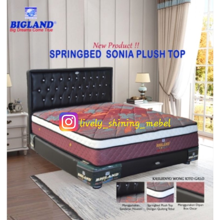 Springbed