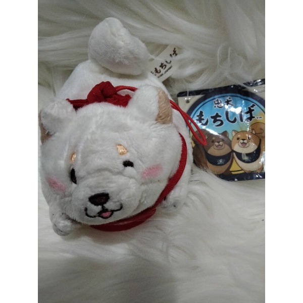 Link khusus Boneka JTR