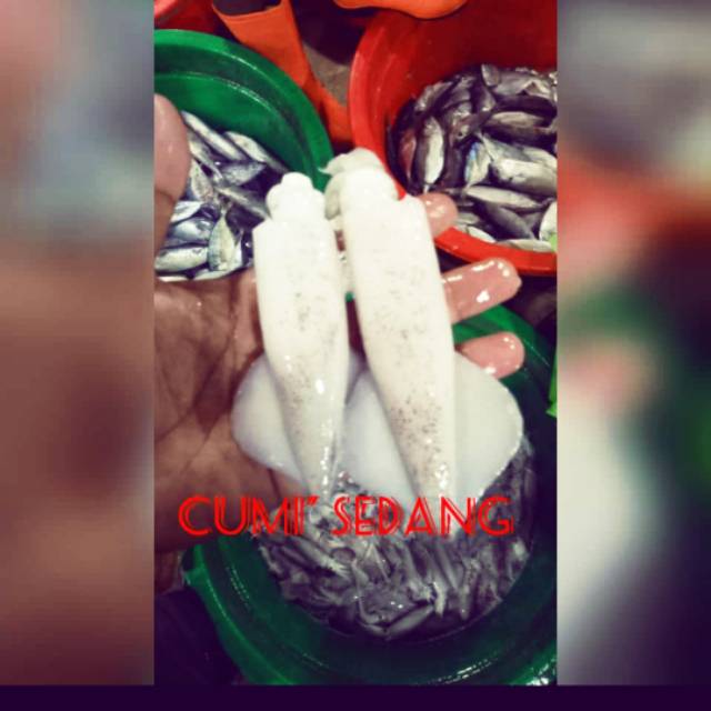 CUMI PANJANG