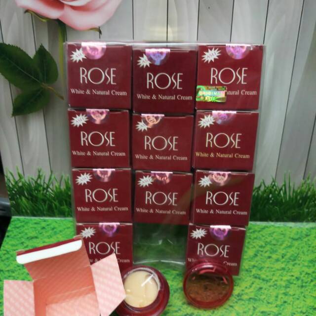 Cream Rose original 12pcs