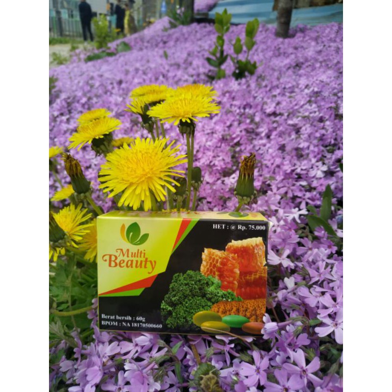 multibeauty soap bonus jaring Blitar