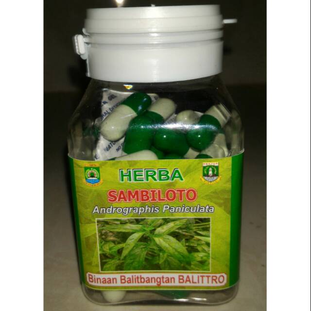 Herba Sambiloto Kapsul