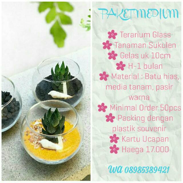 SOUVENIR TERARIUM MINI