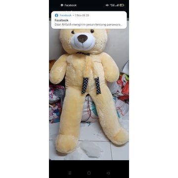 boneka bear jumbo Cream 2 m