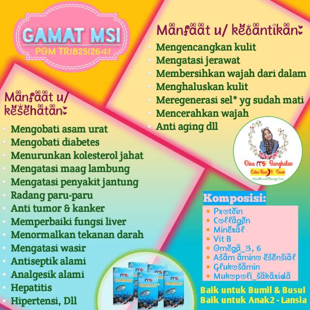 GAMAT MSI