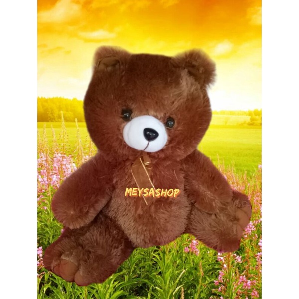 boneka teddy bear jari XL