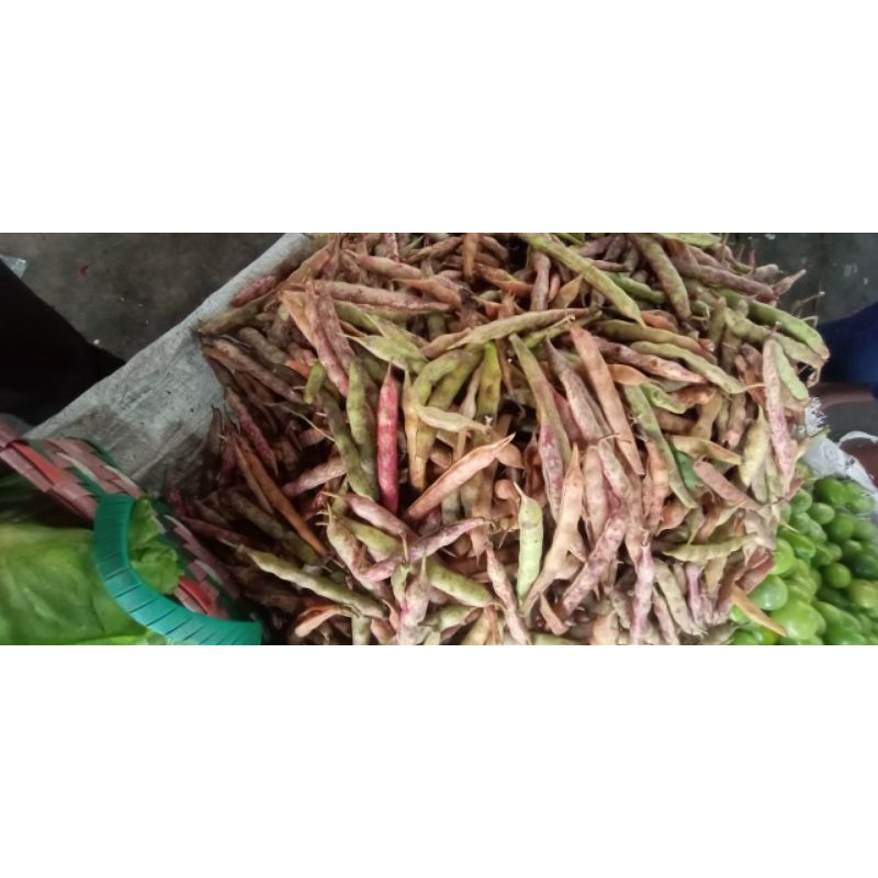Kacang merah kulit taiwan