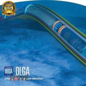 SCHLUMBERGER OLGA 2016.2.1 X64