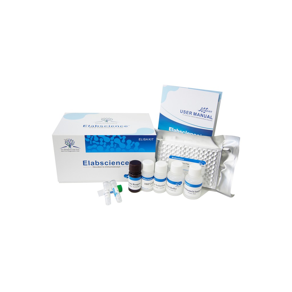 Ferritin ELISA kit