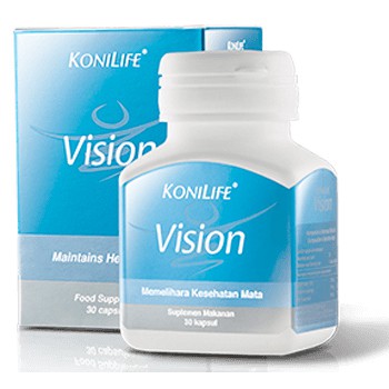 VISION