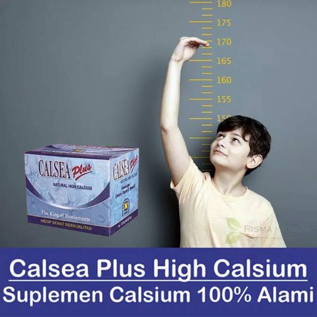 Calsea_obat peninggi badan herbal