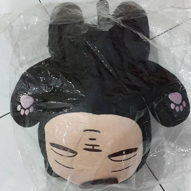 EXO Doll (Kaguar/Kai doll)