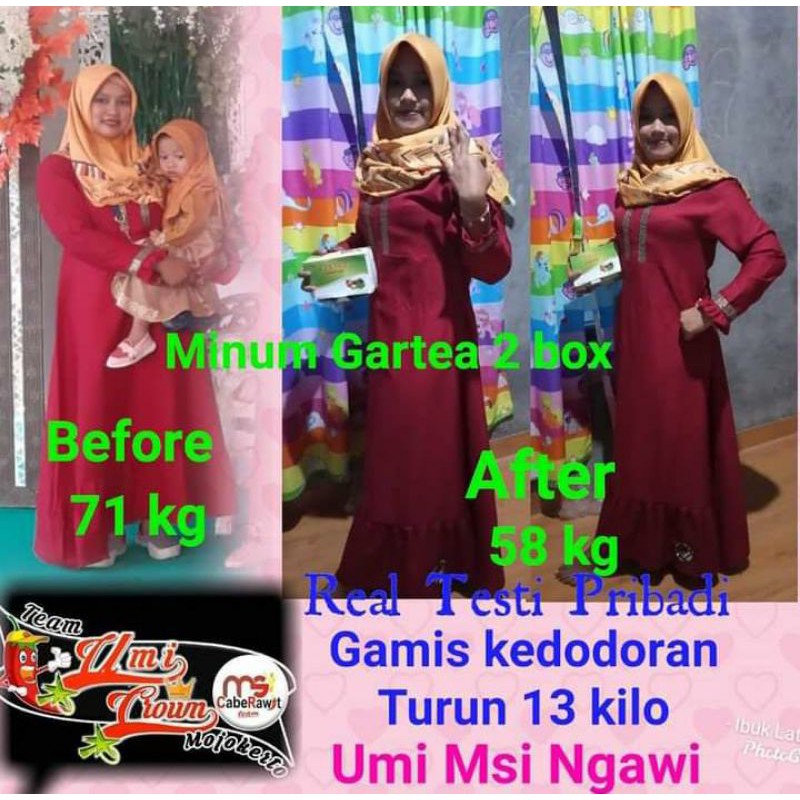 GARTEA MSI HARGA 1 box